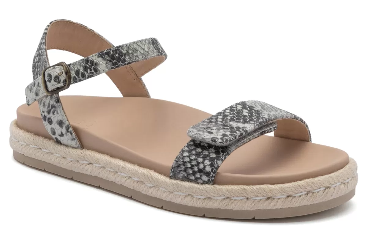 Hot Isle Strap Metatarsal Women Standard | Education