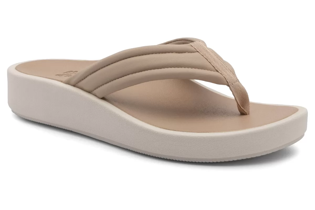 Hot Paseo Thong Sandal Women Standard | Education