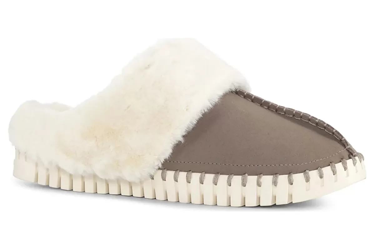 Discount Tulip 3871 Women Standard | Slippers